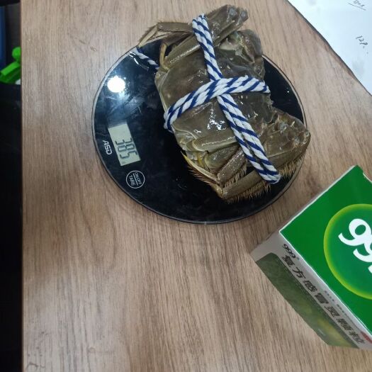 成都生态大闸蟹 硬规格大闸蟹