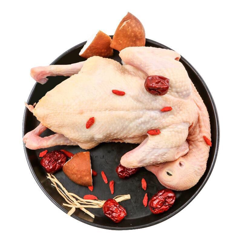 香之城新鲜乳鸽土鸽子现杀农家散养粗粮喂养煲汤滋补乳鸽肉鸽子