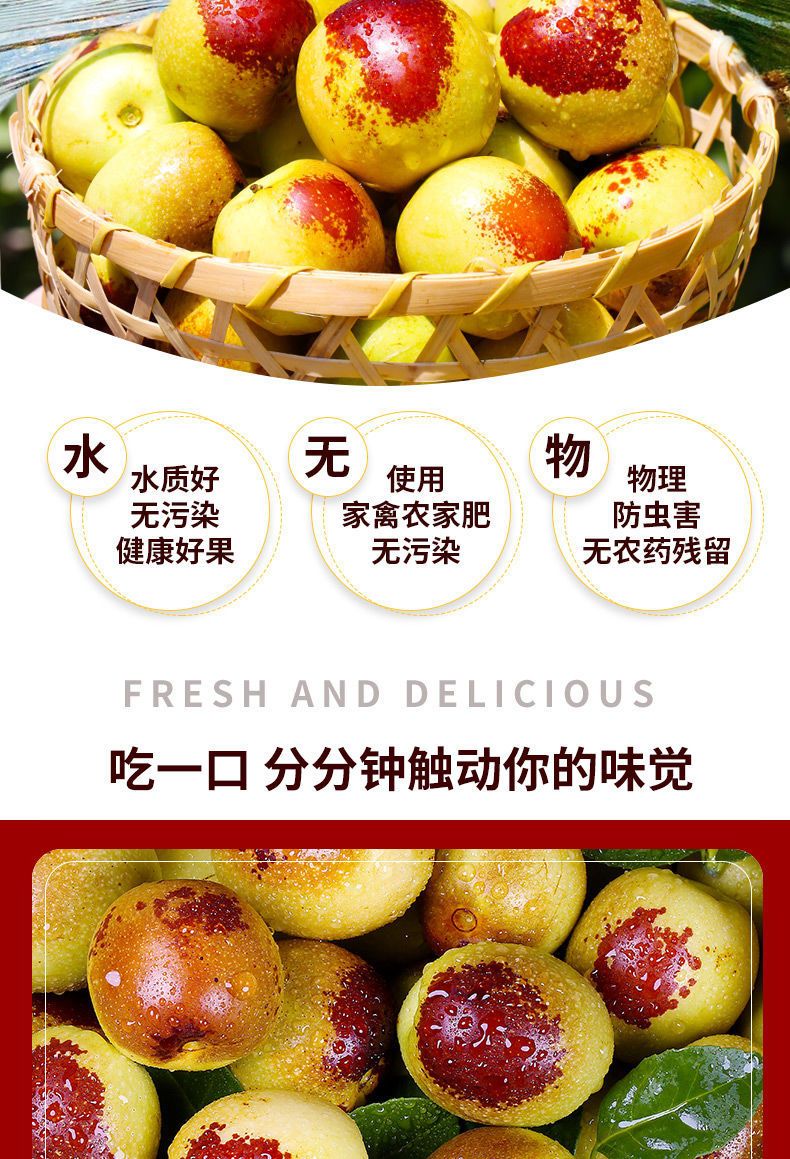 现摘冬枣脆甜新鲜水果大枣子青红枣应季批发5/3/带箱