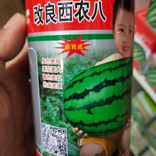 扶沟县西农8号西瓜种子  改良西农八号新育成皮色更绿果型瓤色大红