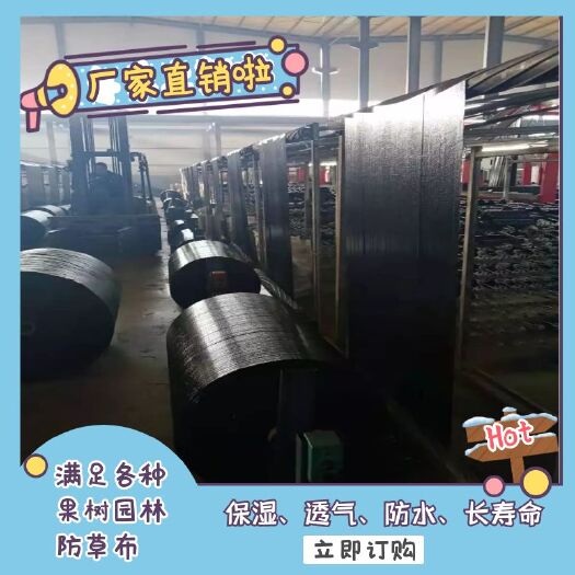 无棣县防草布  pe 除草布农用果树盖草布防草地布地膜遮草布生态保
