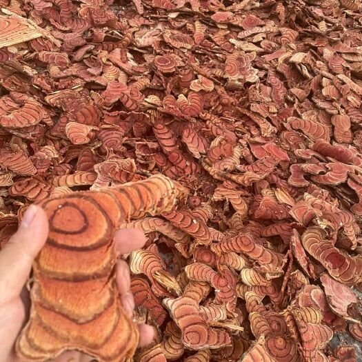 南宁鸡血藤