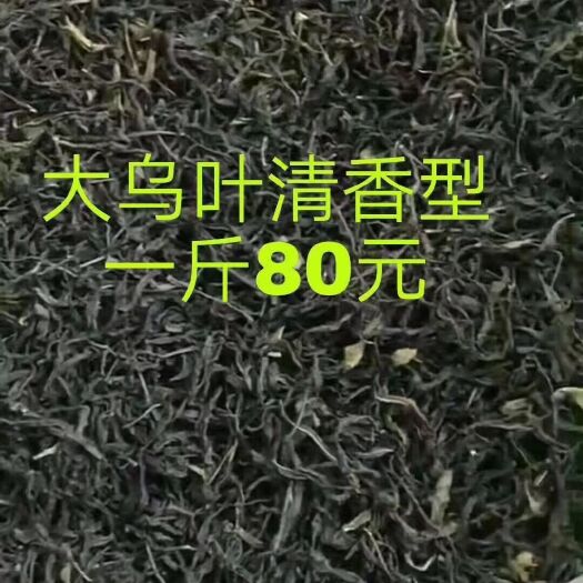 揭阳凤凰单枞  雪乌叶