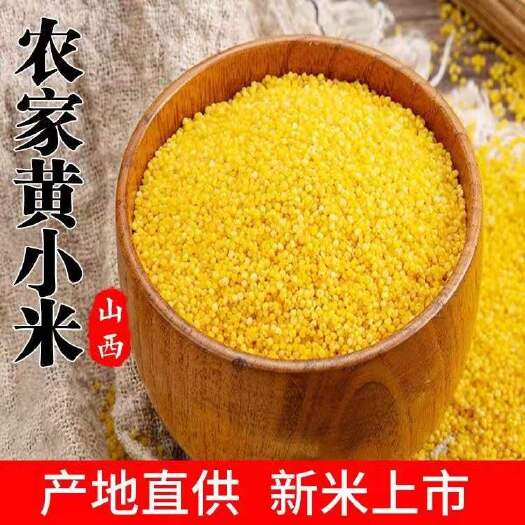 定襄县优质山西黄小米