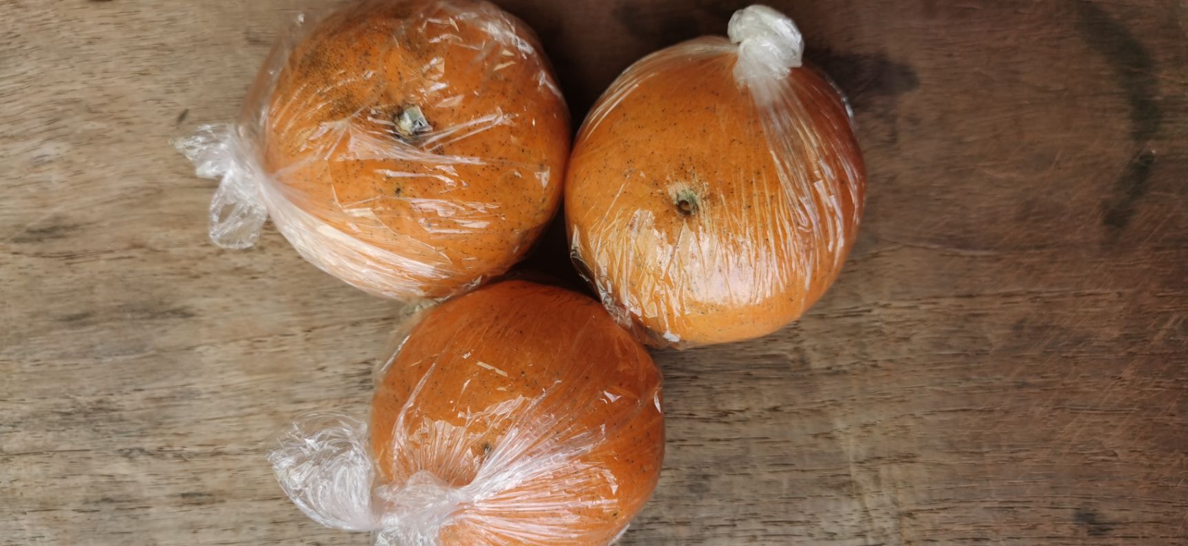 玫瑰香柑  四川达州赵家香柑口味好水分足个头大