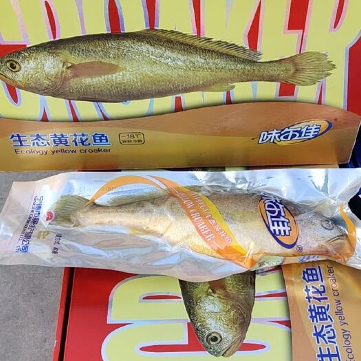 滨州大黄鱼  真空包装的大个黄花鱼，礼盒装！一箱4条！