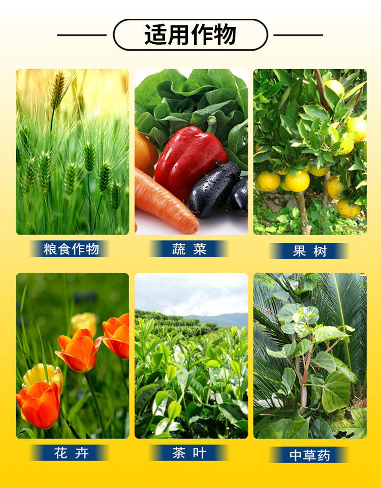 种植EM菌液  Em原菌液种植专用微生物菌剂****膨果增根