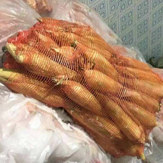 甜玉米  东营广饶  冷库 白粘玉米 出售
