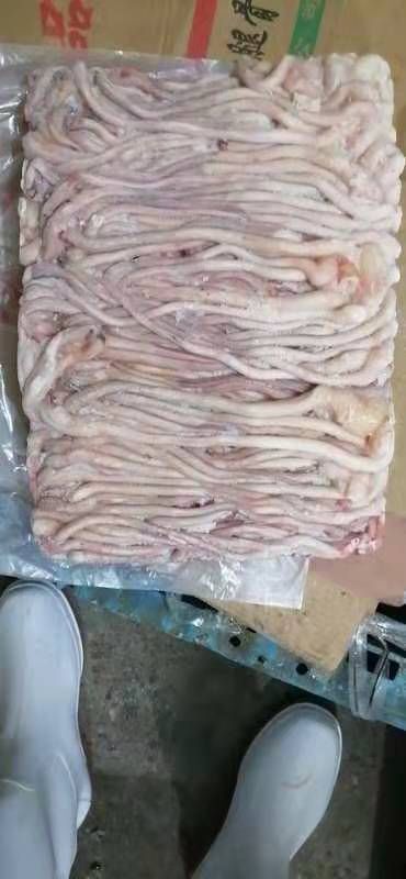 临沂小猪鞭