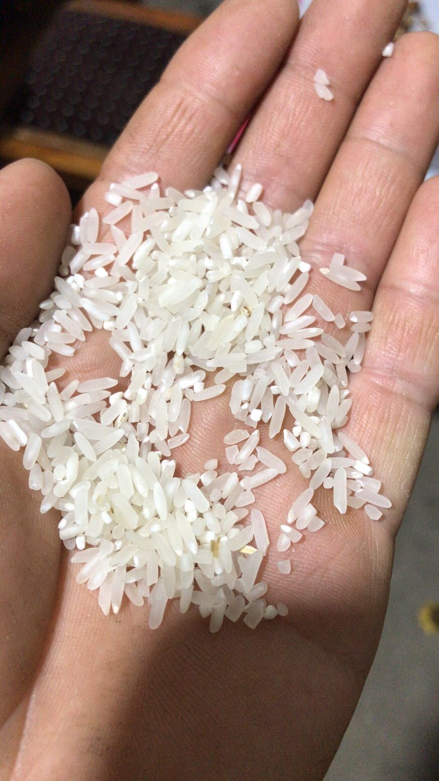 ˫ش ̩¡