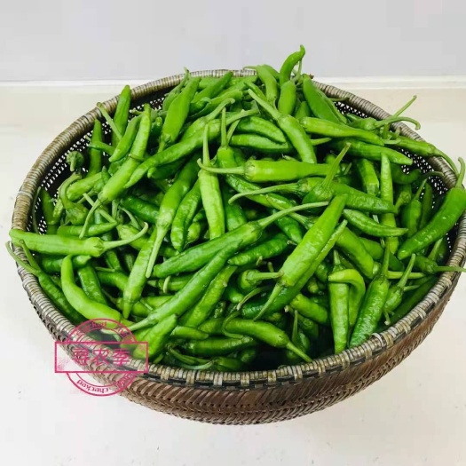 湘阴县辣椒王  樟树港辣椒全年保量稳价基地直供