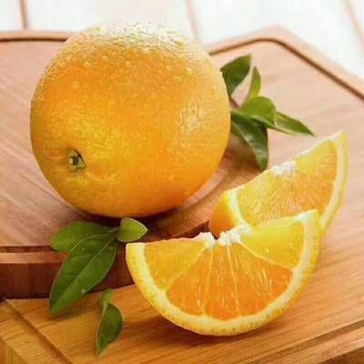 道县道州脐橙 自家果园正中、绿色、新鲜脐橙，不催熟、不打腊，现摘