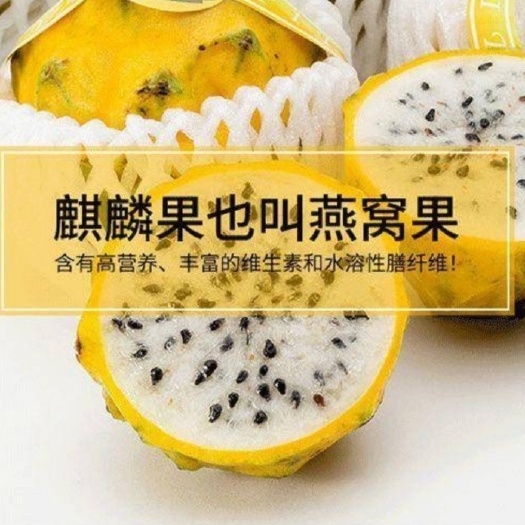 广州黄皮火龙果 厄尔瓜多马牌燕窝果