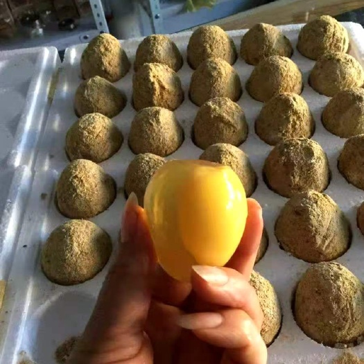 西华县土鸡蛋 变蛋