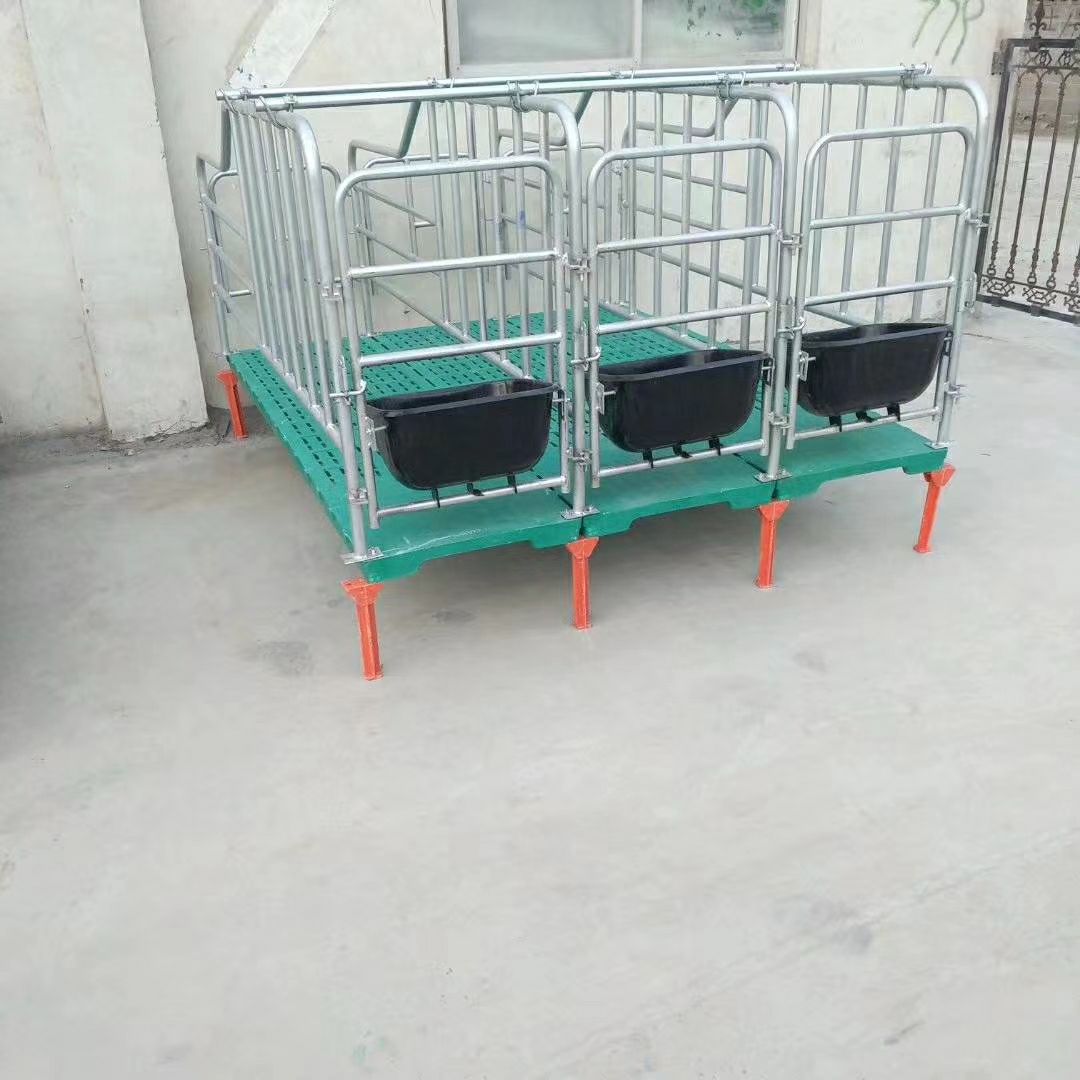 养猪设备高床复合板母猪定位栏限位栏妊娠母猪栏