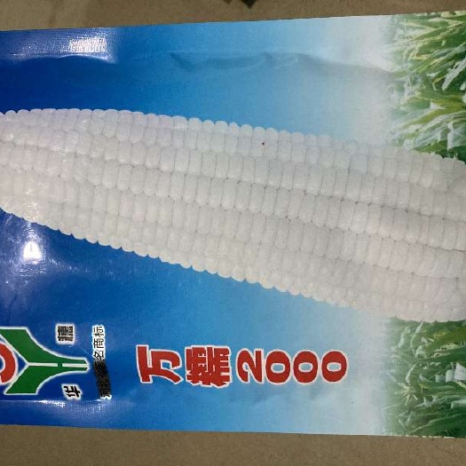 天津万糯2000玉米种子、河北华穗原厂原包装