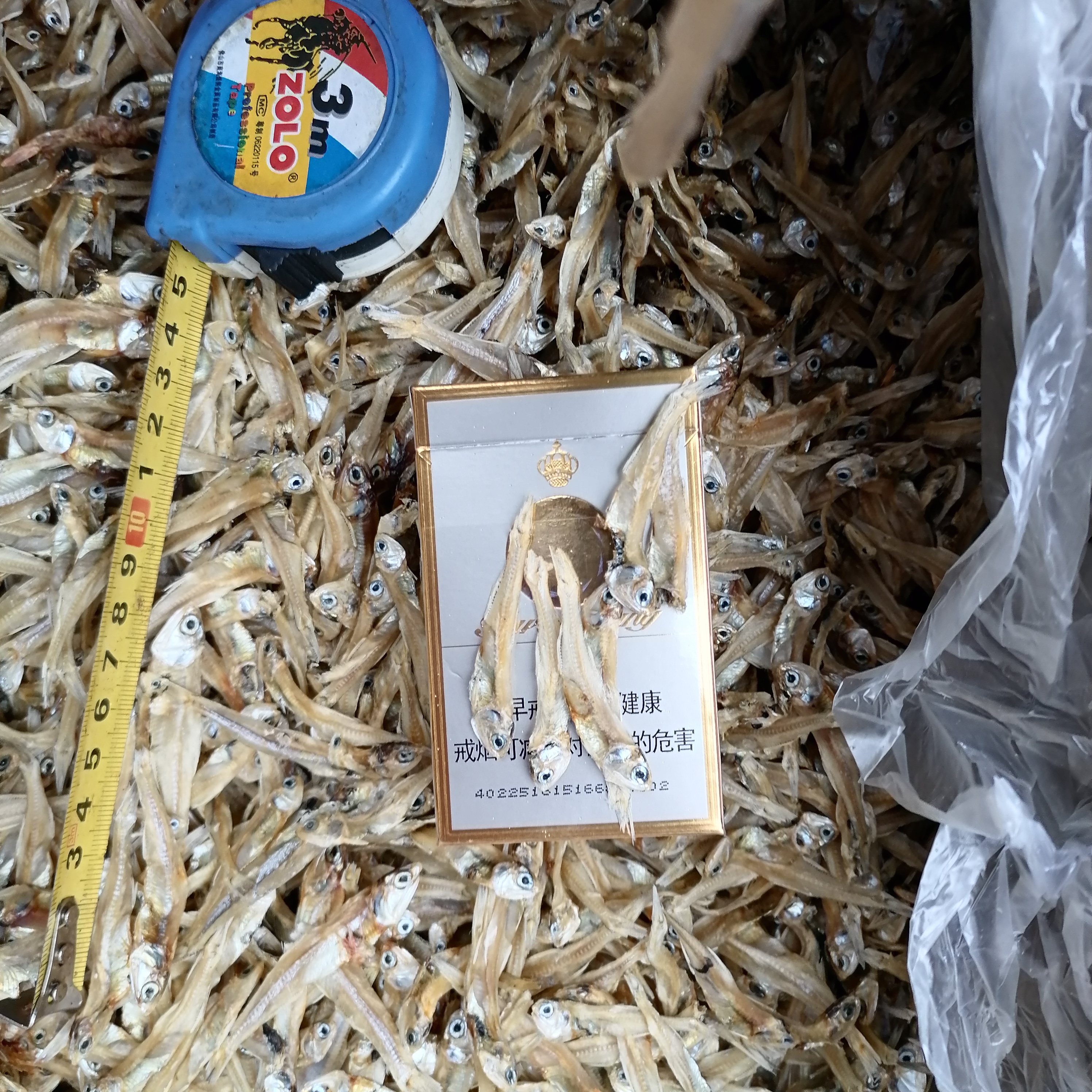 长沙白发鱼 小鱼干 散装适合食品厂做麻辣小鱼 赶集摆地摊小鱼干