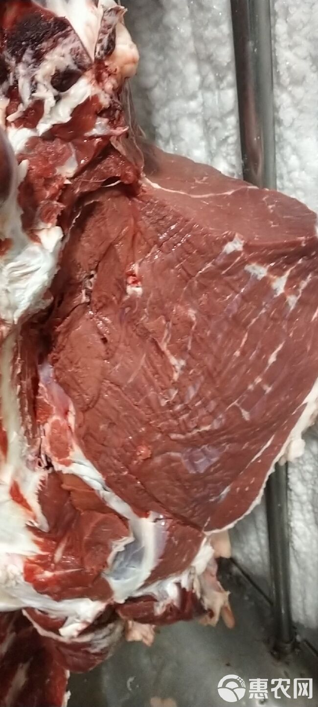 宁夏回族自治区滩羊肉肉卷，散养黄牛肉肉卷，纯手工真牛羊肉