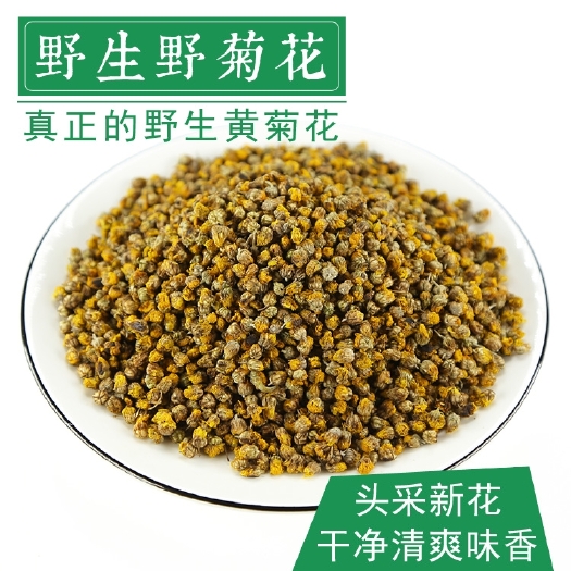 安国市野菊花 中药材野菊花 野菊花