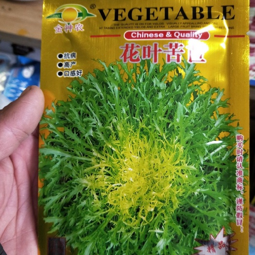 【精品】，碎叶苦菊种子，抗病，耐热，高产，适应性广。