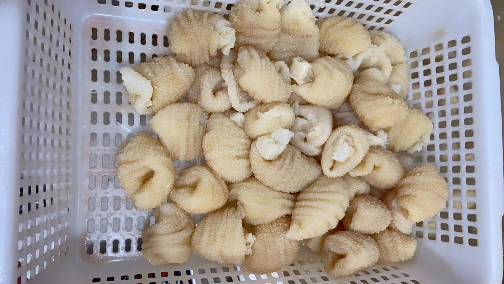 鸡肠 鸡蛋包(蛋巢) 水发产品