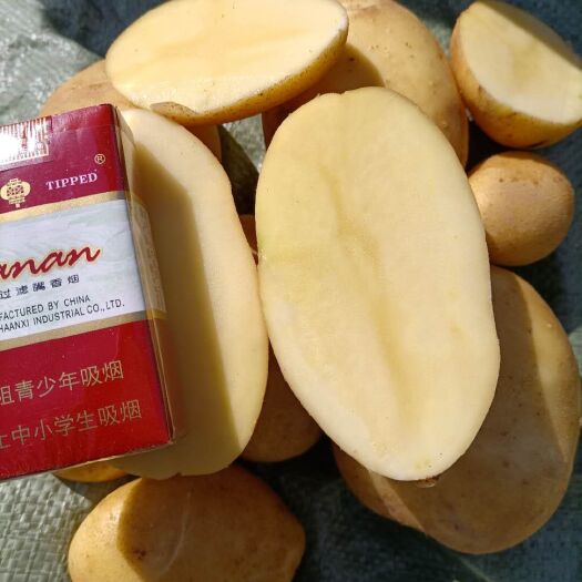 会宁县陇薯7号  甘肃会宁县陇七库存货量大
