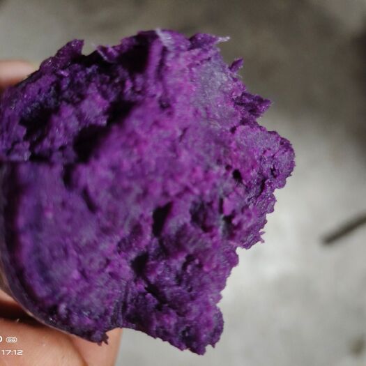 沂南县富硒紫薯  山之农农副产品沂蒙山沙地紫罗兰紫薯番薯新鲜地瓜农家香薯 精选