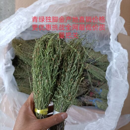 瑞丽市独脚柑  独脚金全干货，颜色青绿！产地直销价格优惠！！！