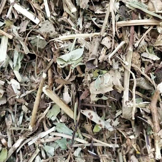 正阳县 正阳县优质花生秧