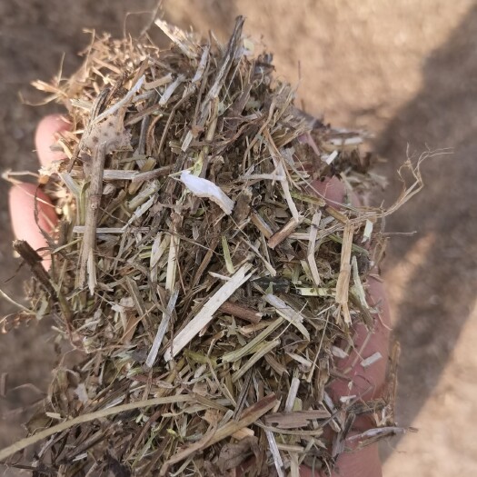 虞城县 花生秧草段，牛羊草料，颜色好，营养价值高