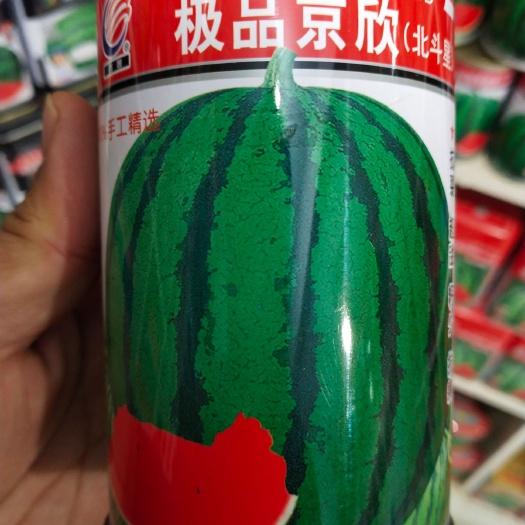 京欣西瓜种子 北斗星 早熟，抗裂，抗病