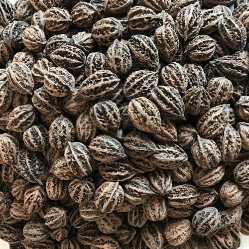 长春天然东北山核桃