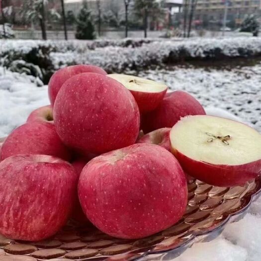 延安高原苹果  延安山地苹果皮薄肉厚脆甜多汁可以带皮吃