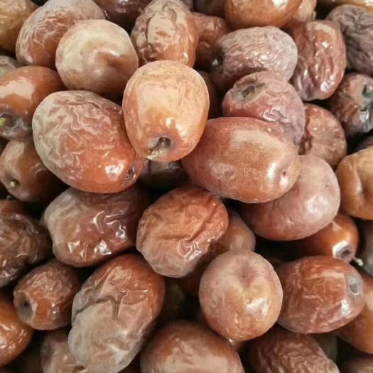 怀来县 河北，怀来，旧庄窝金丝小枣