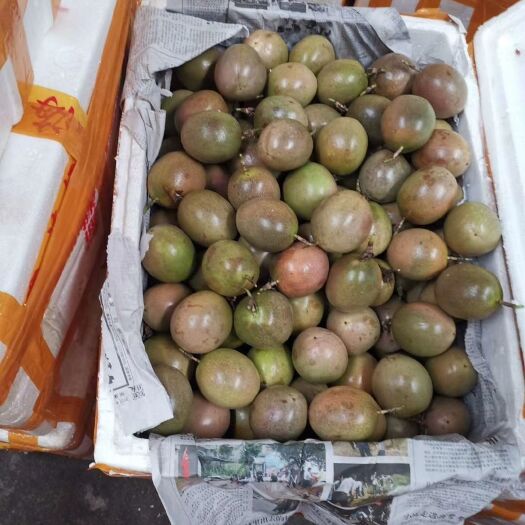 深圳紫香一号百香果 高山生态果