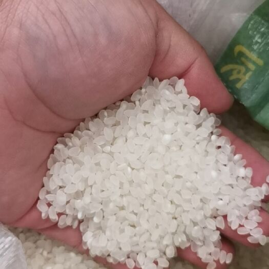 宝清县碎米 珍珠米