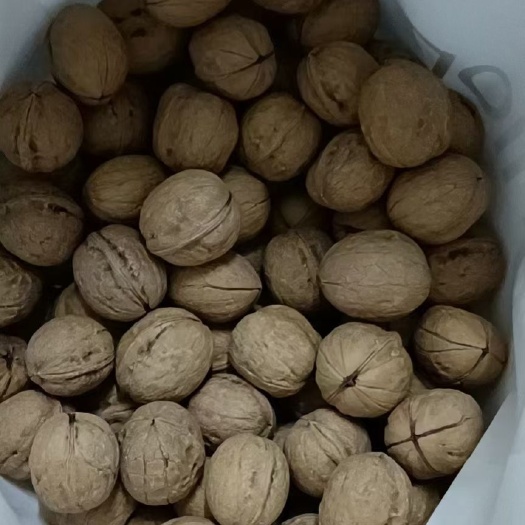 澄城县薄皮核桃 自家种植，皮薄肉多