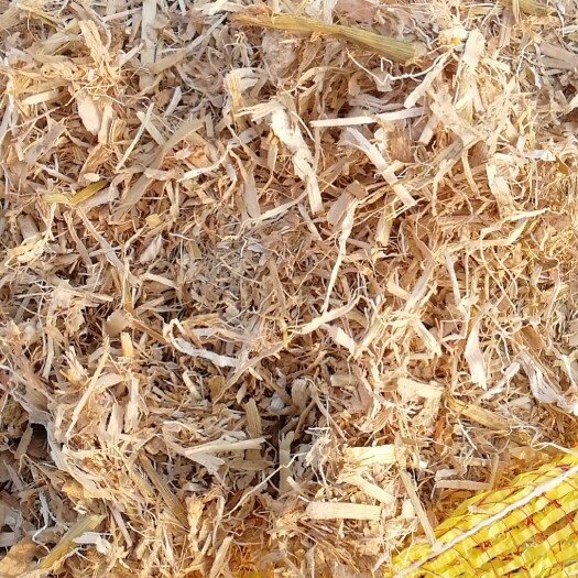 沈阳玉米秸秆 过夏柔丝草块。无土无膜保过夏，欢迎新老朋友前来参观