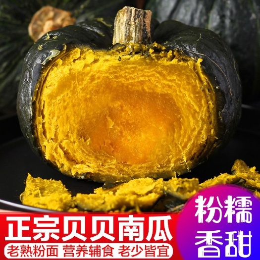 莘县贝贝南瓜  一件代发贝南瓜板栗小南瓜味甜新鲜蔬菜日本种源老南瓜板粟