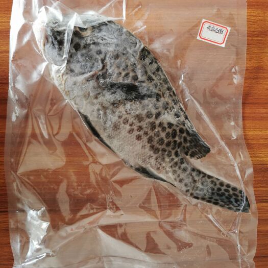 琼海市胡椒鲷鱼-西沙群岛胡椒鲷-供应海捕赤点石斑鱼
