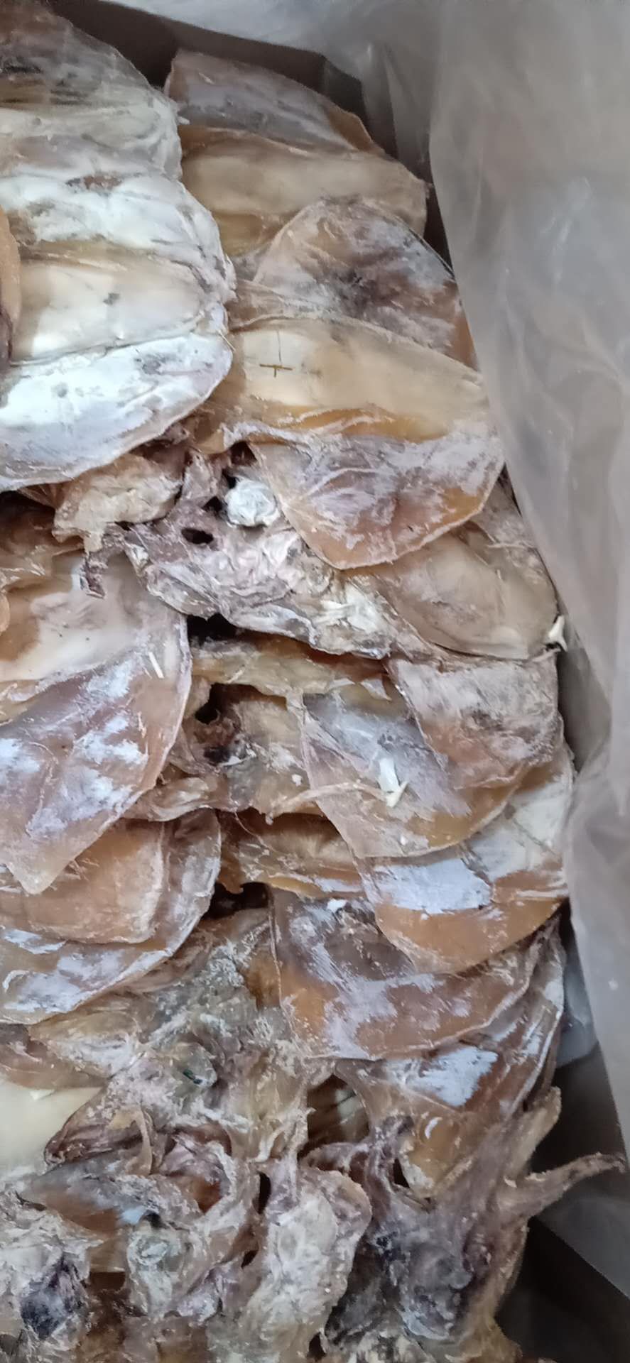 墨鱼干，小目鱼干一斤二十五个左右的微咸的