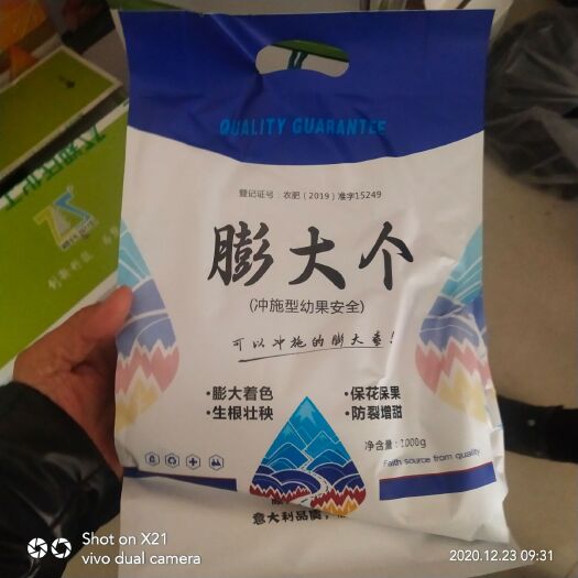 膨果肥 膨大个（冲施型幼果安全）可以冲施的膨大童！·膨大着色