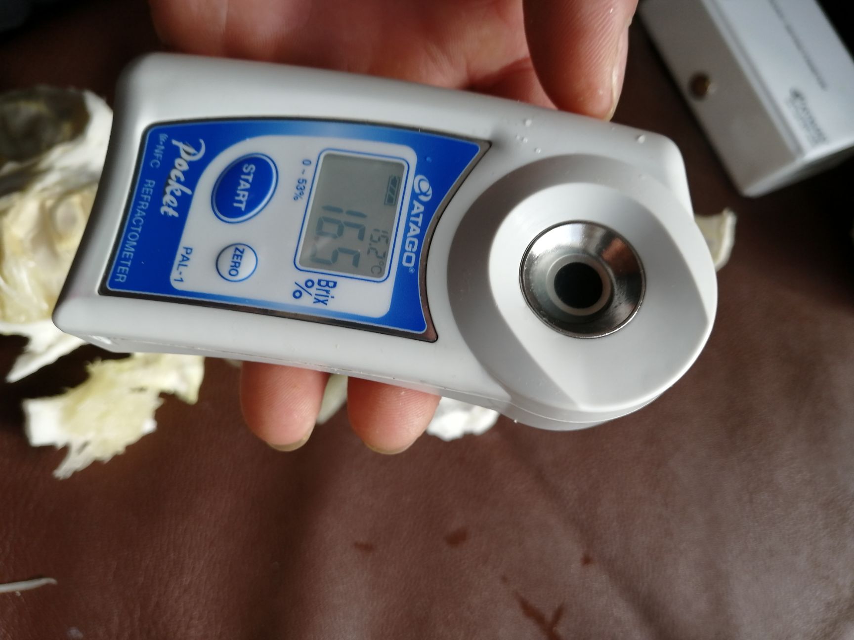  精品沙田柚，江永香柚，味甜如蜜，经久耐放