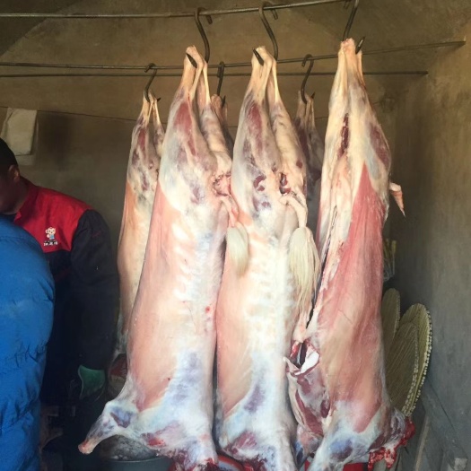 榆林羊腿肉 生肉 