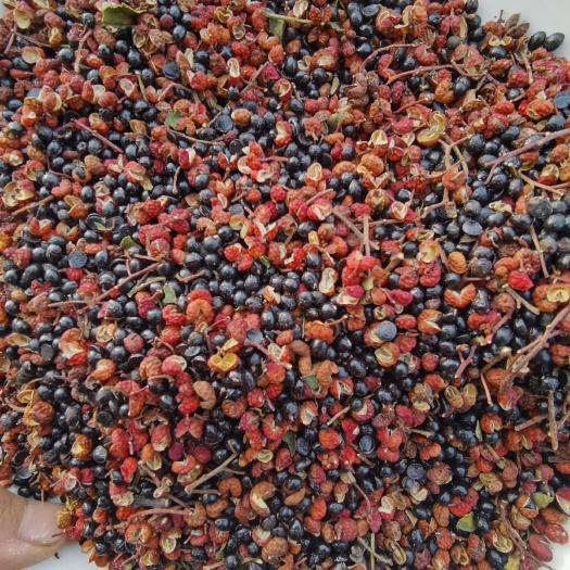 涉县红花椒  【泡脚花椒泡脚去湿气专用花椒】足裕干花椒粒