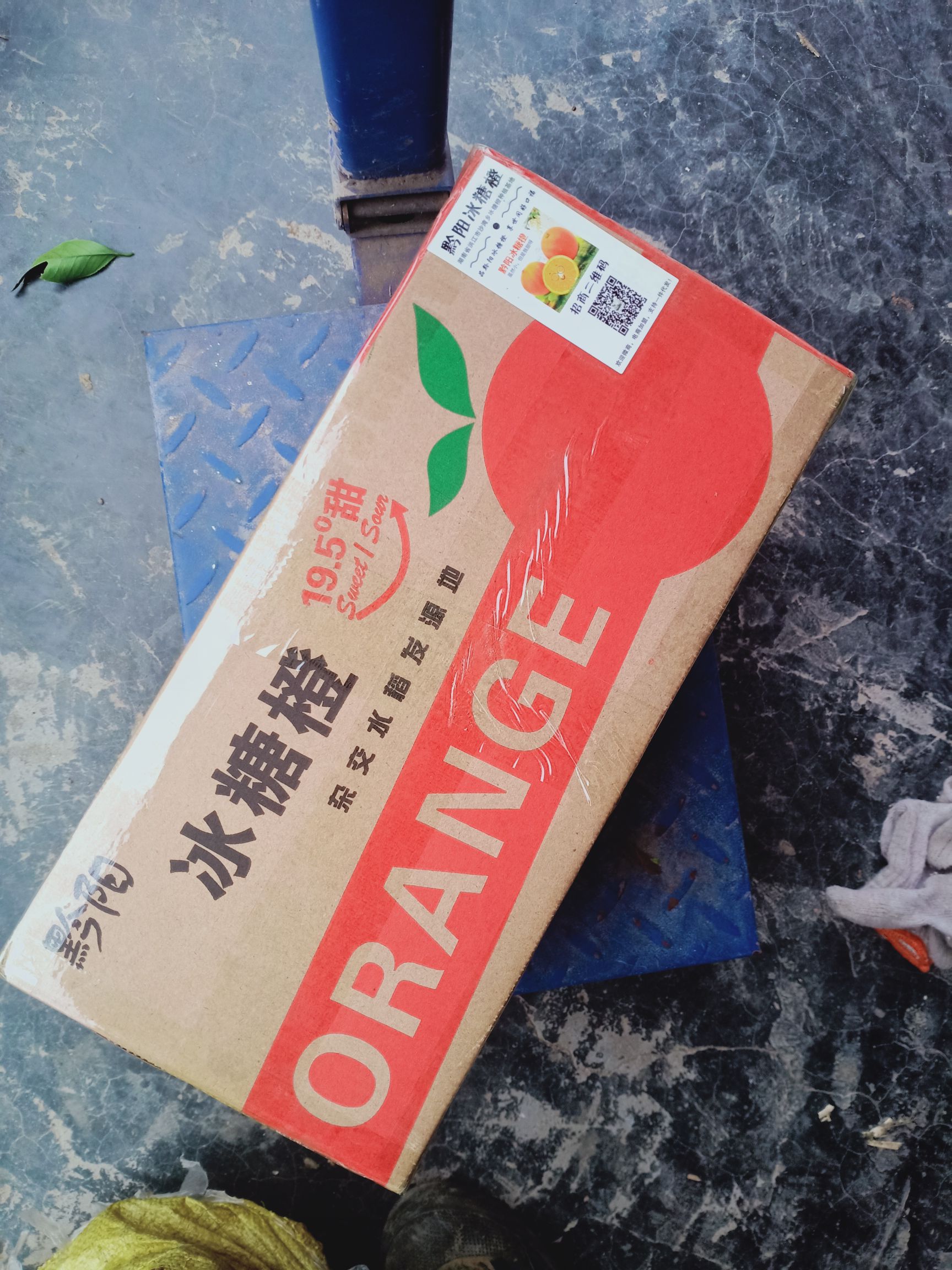 冰糖橙 黔阳冰糖橙果园直发 一件代发