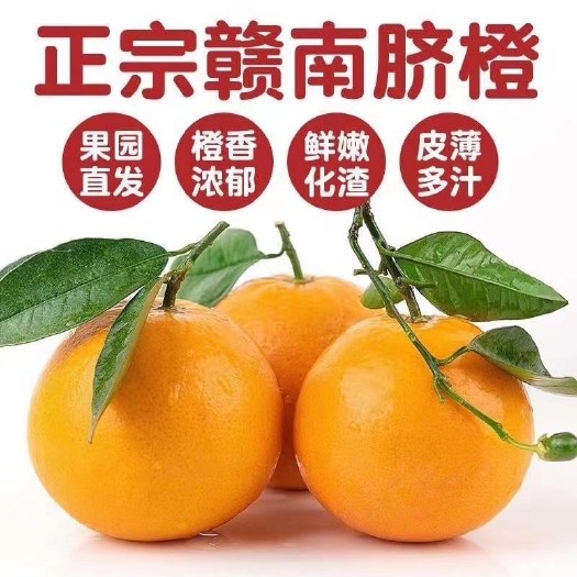 寻乌县 正宗赣南脐橙 江西特产新鲜甜橙子 现摘现发10斤装，20斤装