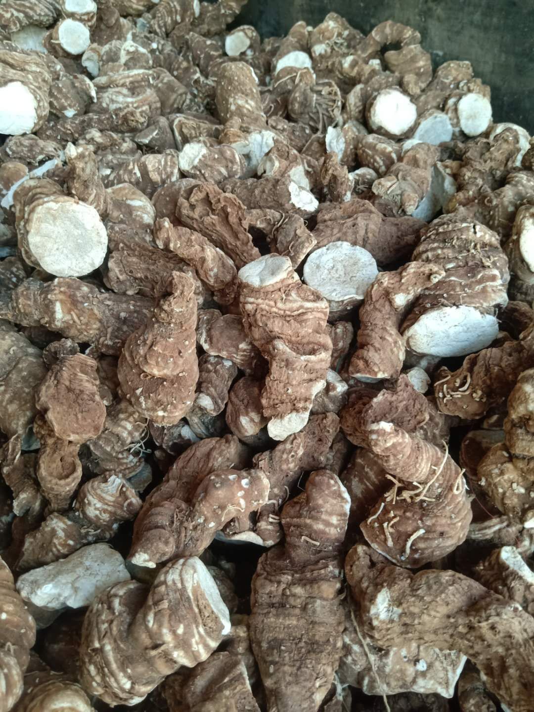  云南粉质重楼干货滇重楼
