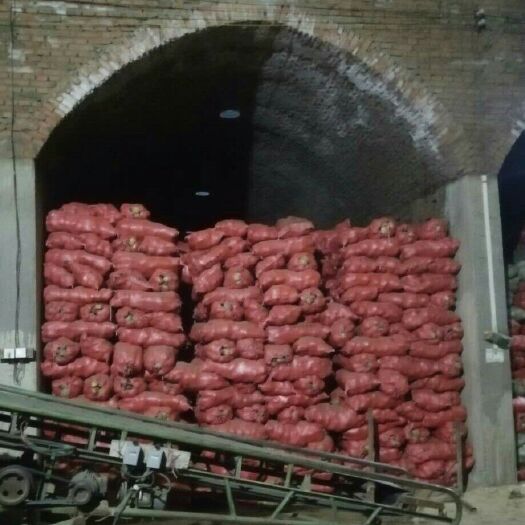 围场县 出售希森土豆，质量一等。