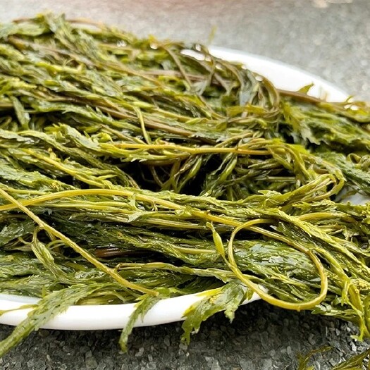 荣成市盐渍马尾藻，鞭，炮笋